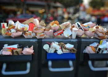Çevre Mühendisliği Dersleri ve İş İmkanları